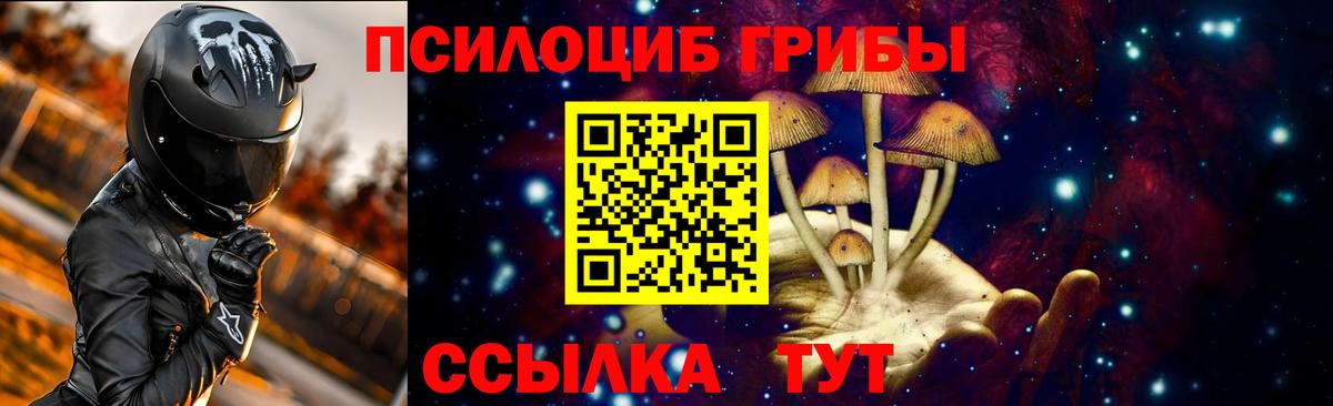 Галлюциногенные грибы ЛСД  Вход с VPN  Галлюциногенные грибы Psilocybine cubensis  Гусиноозёрск 
